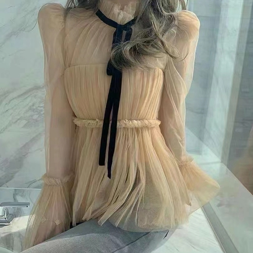 시스루 망사 여성 쉬폰 블라우스 (2color)